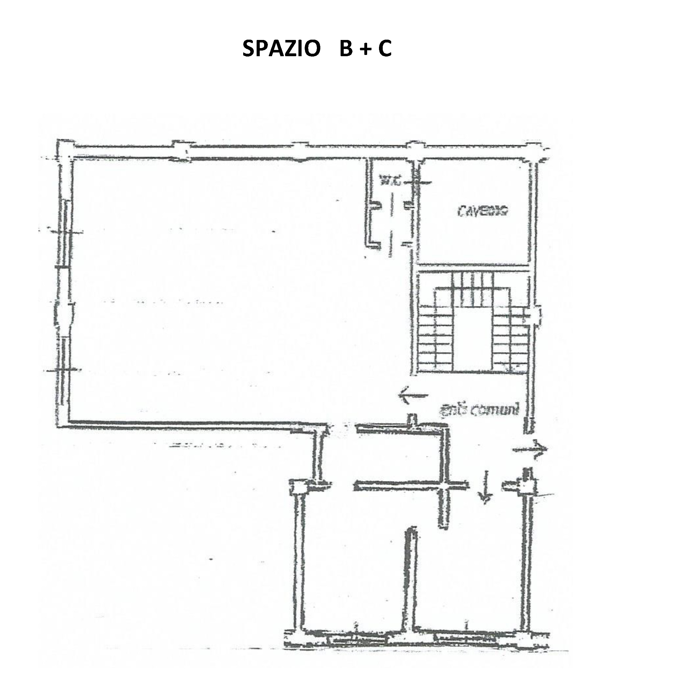 1-B+C SCHEDA