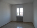 DSCN0972.jpg